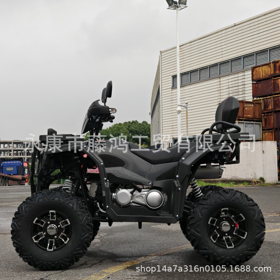 Nieuwe ATV 200cc, 4-wiel off-r - Mountain Biking New Forest recensie en prijs