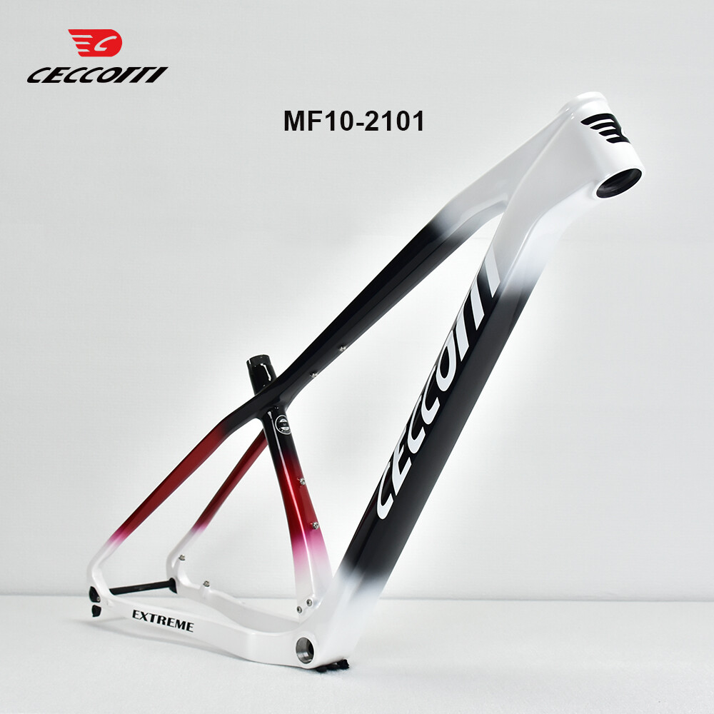 CECCOTTI 29er MTB Frame BSA 14 - Mountain Biking In The Uk recensie en prijs