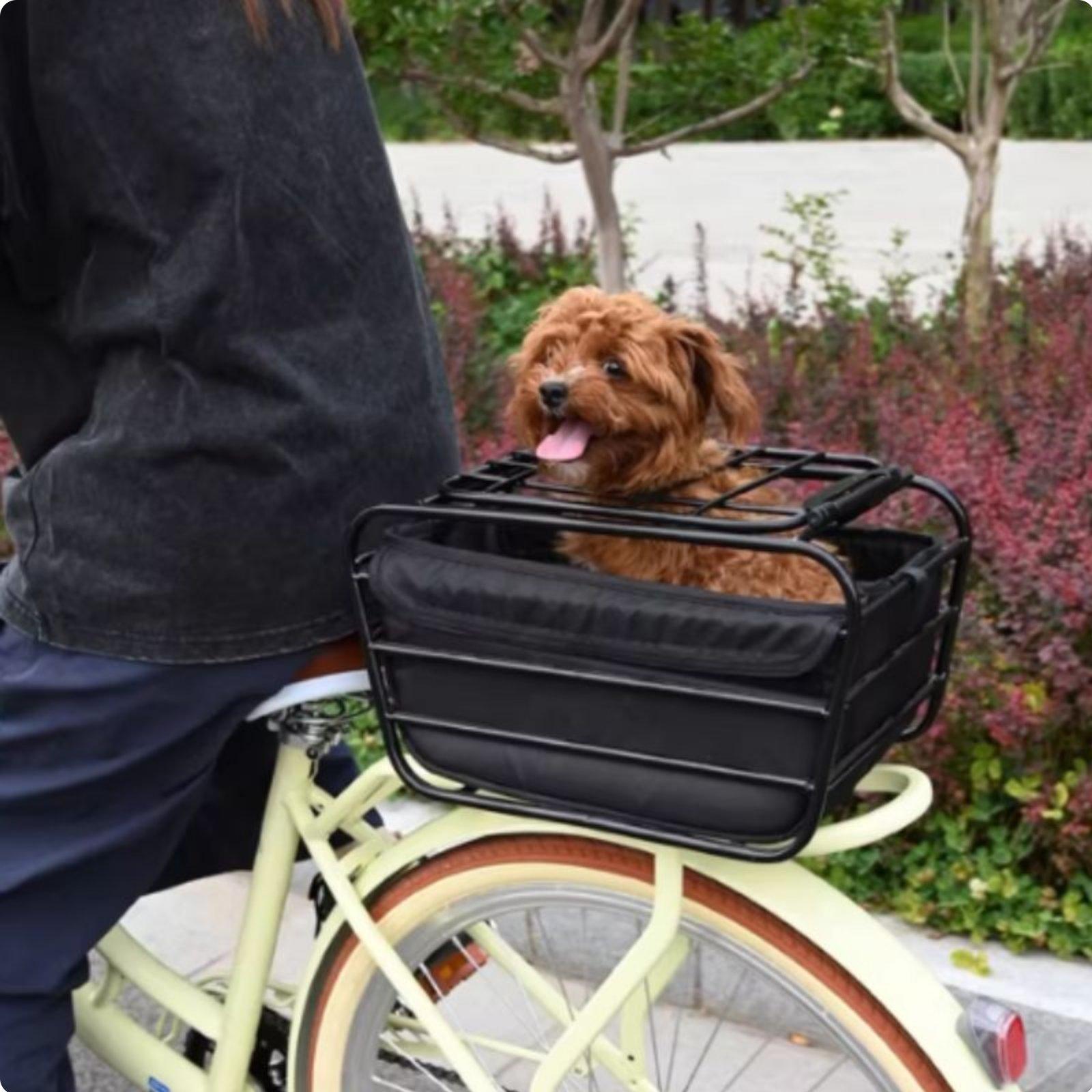 Fietsmand met hondenriem, acht - Mountain Biking With Dog recensie en prijs